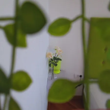 Dream With Parking Apartment *