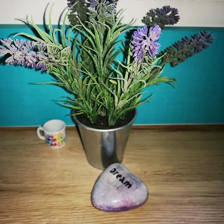 Apartment Dream With Parking *