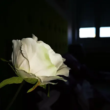 Dream With Parking Apartment