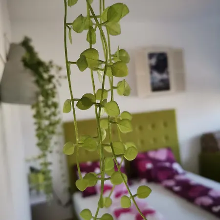 Dream With Parking Apartment Belgrade