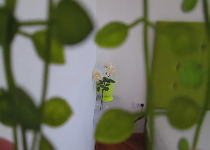 Dream With Parking Apartamento *