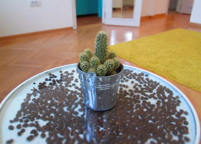 Apartamento Dream With Parking *