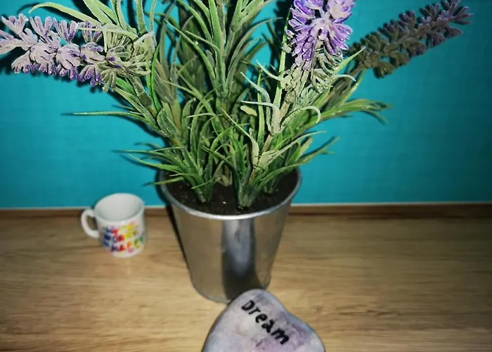 Apartamento Dream With Parking *