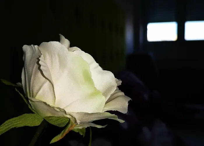 Dream With Parking Apartamento