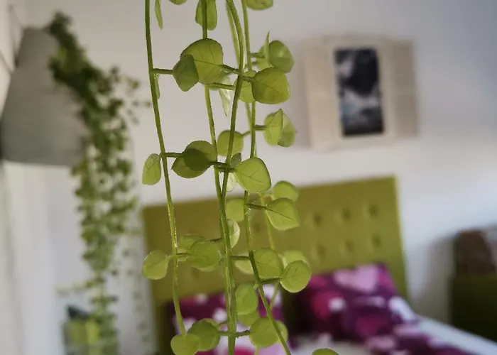 Dream With Parking Apartamento Belgrado